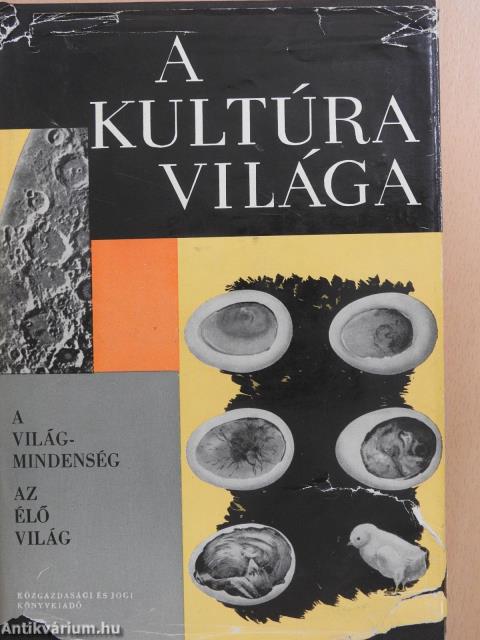 A kultúra világa I-X.