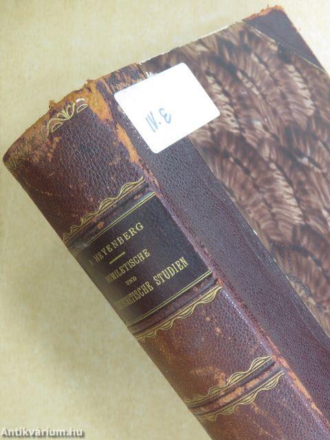 Homiletische und katechetische Studien