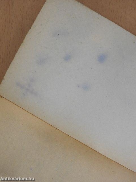 Felhők alatt madarak