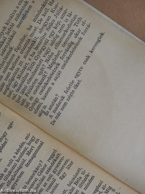 Felhők alatt madarak