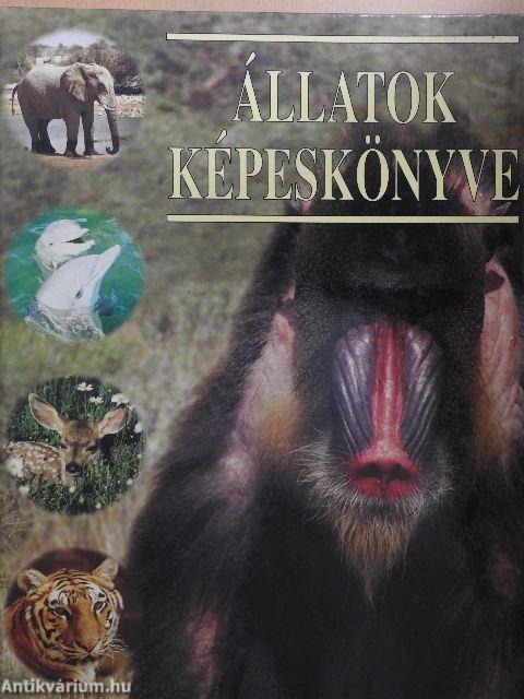 Állatok képeskönyve