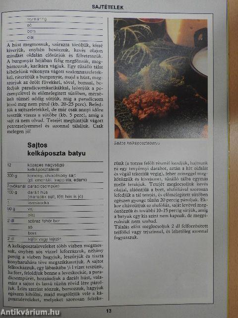 99 sajt- és tojásétel 33 színes ételfotóval