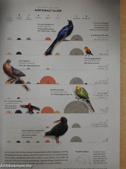 National Geographic Magyarország 2018. január-december