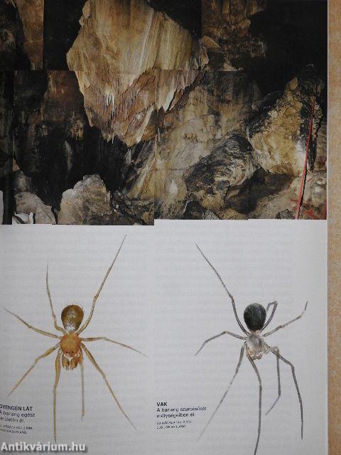 National Geographic Magyarország 2007. szeptember