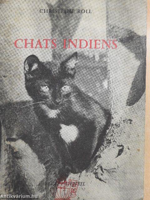 Chats Indiens