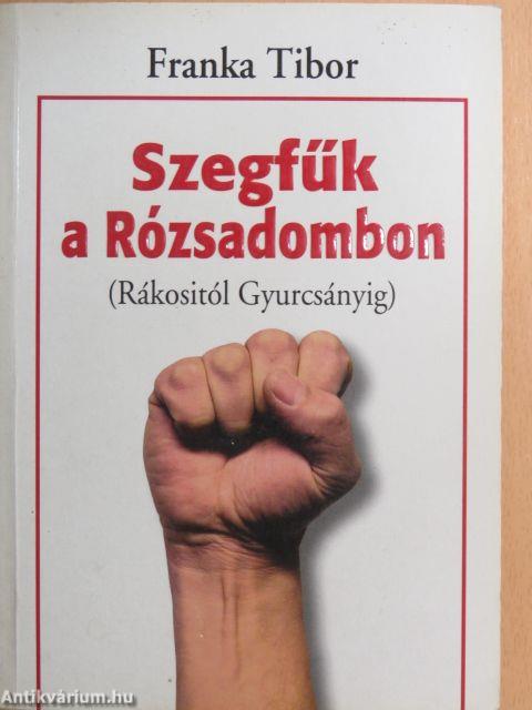 Szegfűk a Rózsadombon