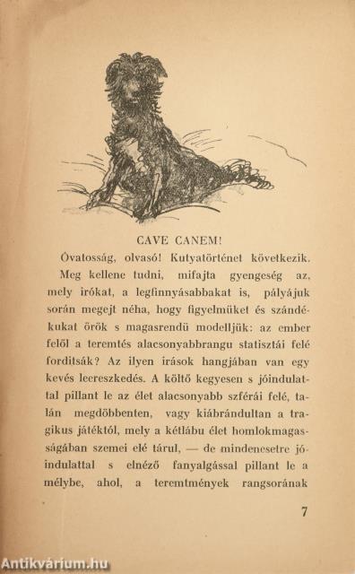 Csutora (dedikált példány)