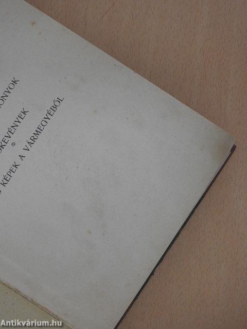 A szelistyei asszonyok/A szökevények/Apró képek a vármegyéből