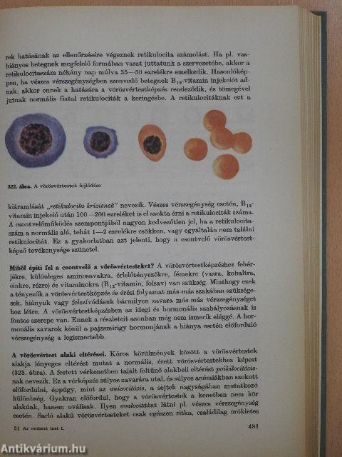 Az emberi test 1-2.