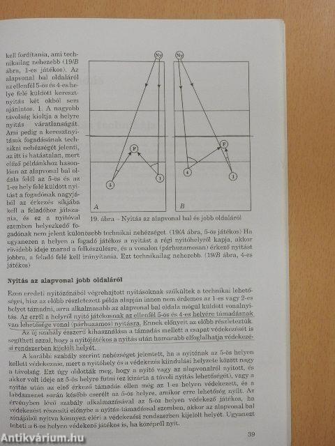 A röplabdázás technikája és taktikája