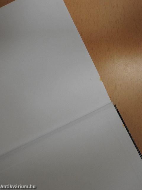 A francia hadnagy szeretője