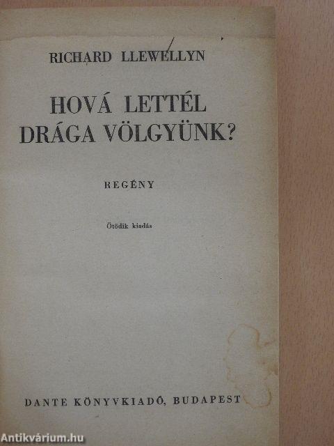 Hová lettél drága völgyünk?