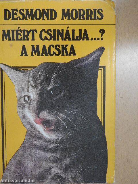 Miért csinálja...? A macska