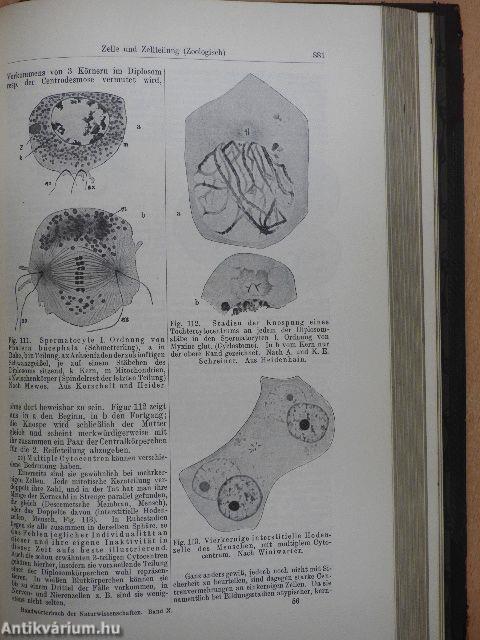 Handwörterbuch der Naturwissenschaften X.