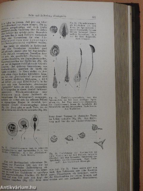 Handwörterbuch der Naturwissenschaften X.