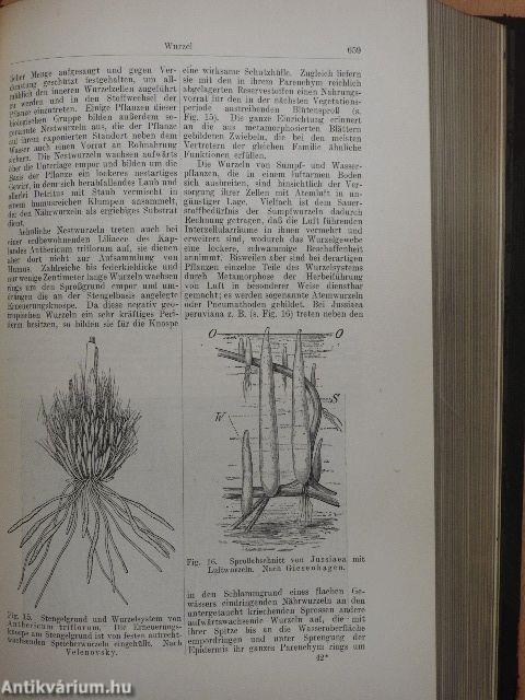 Handwörterbuch der Naturwissenschaften X.