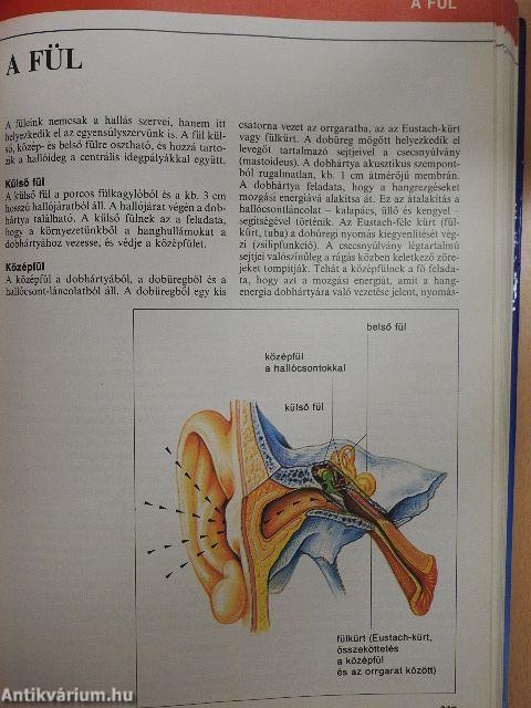 Nagy egészségkönyv