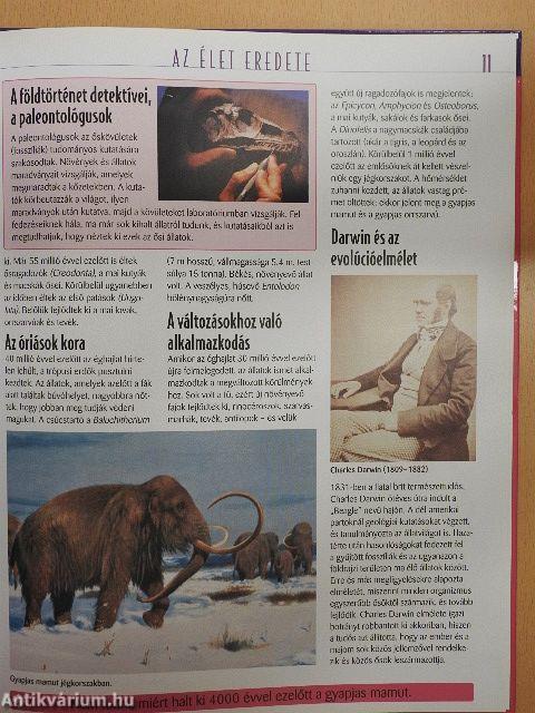 Az élet titkai