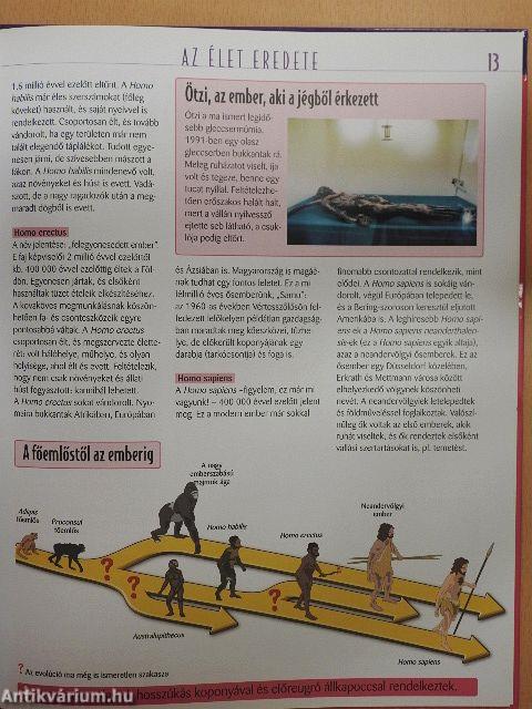 Az élet titkai