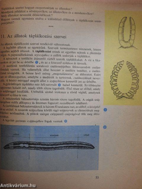 Élővilág 7.