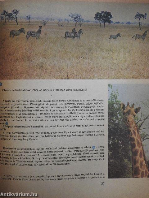 Élővilág 7.