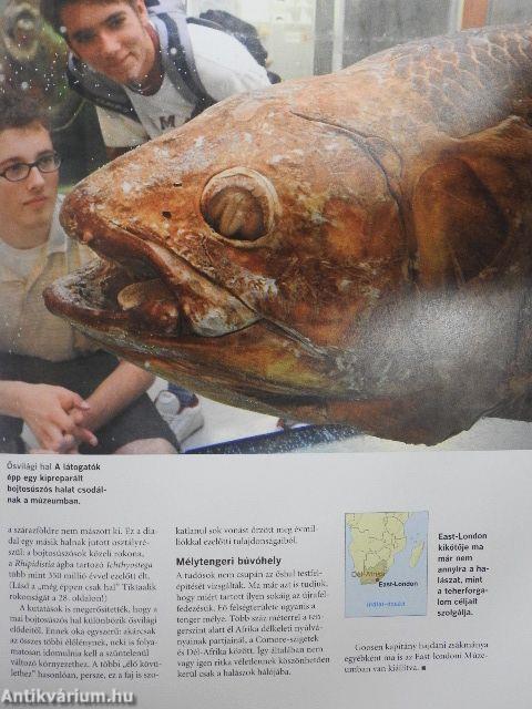 Meghökkentő természet