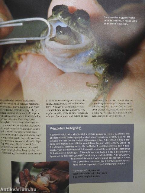 Meghökkentő természet