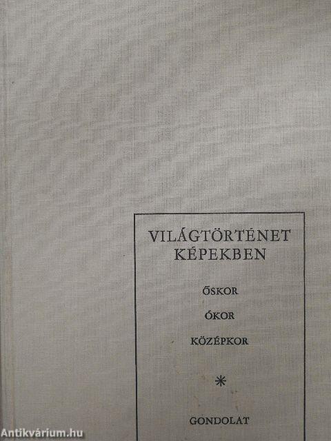 Világtörténet képekben I-II.