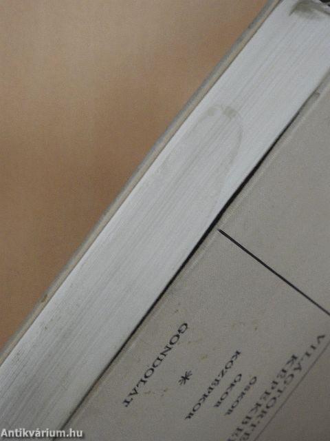 Világtörténet képekben I-II.