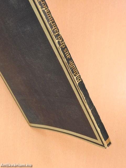 Bildnisse aus drei Jahrhunderten