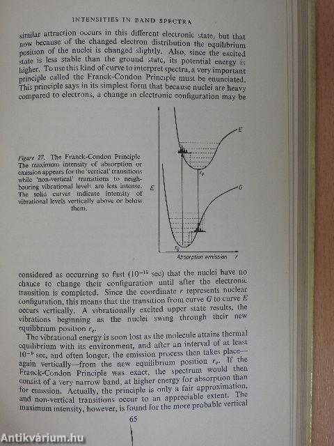 Excited States in Chemistry and Biology