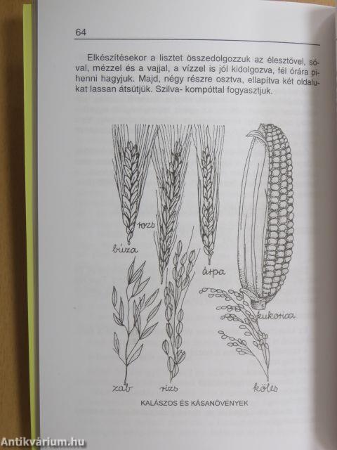 Bevezetés a gabonakonyhába