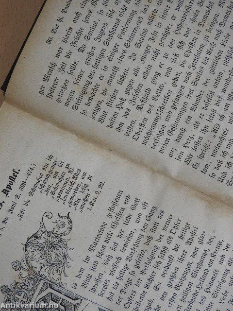 Jugendspiegel für Jung und Alt in heiligen Lebensbildern aus allen Jahrhunderten Der Monat Januar bis Juni 1872. (fél évfolyam) (gótbetűs)