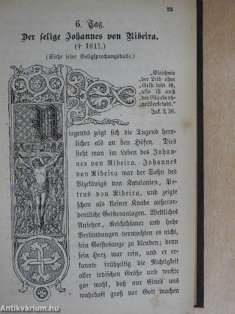 Jugendspiegel für Jung und Alt in heiligen Lebensbildern aus allen Jahrhunderten Der Monat Januar bis Juni 1872. (fél évfolyam) (gótbetűs)