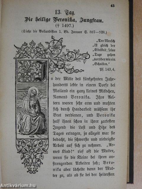 Jugendspiegel für Jung und Alt in heiligen Lebensbildern aus allen Jahrhunderten Der Monat Januar bis Juni 1872. (fél évfolyam) (gótbetűs)