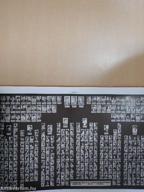 Márton Áron Gimnázium - Történelem az iskolafalakon