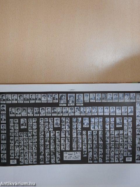 Márton Áron Gimnázium - Történelem az iskolafalakon