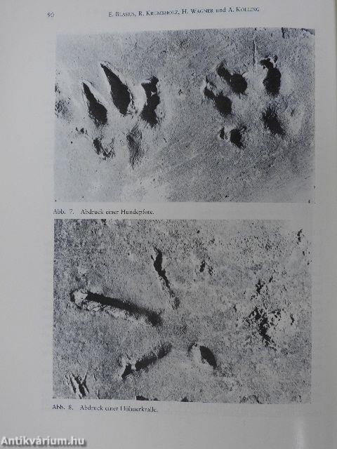 Sammelheft aus dem Fachbereich 13.