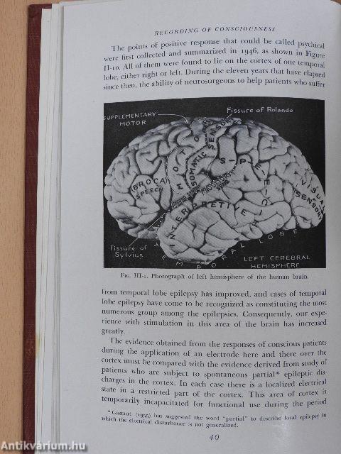 Speech and brain-mechanisms