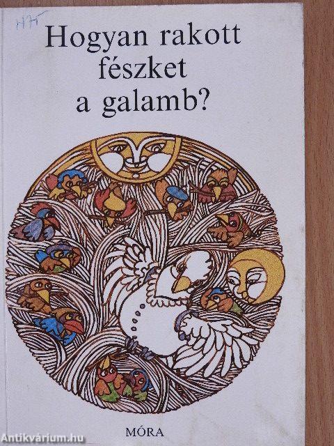 Hogyan rakott fészket a galamb?