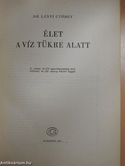 Élet a víz tükre alatt