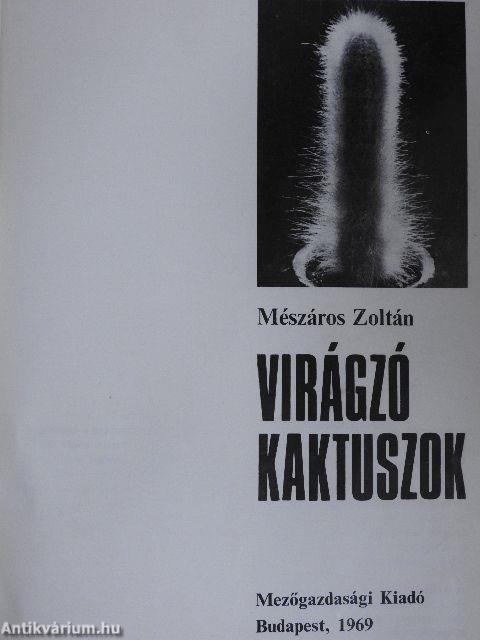 Virágzó kaktuszok