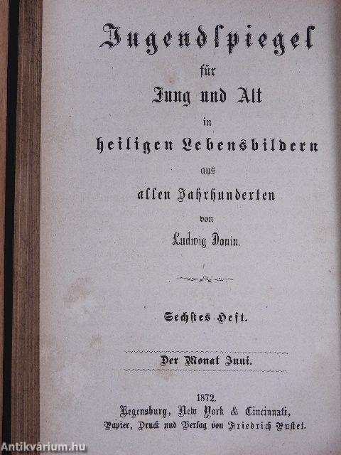 Jugendspiegel für Jung und Alt in heiligen Lebensbildern aus allen Jahrhunderten Der Monat Januar bis Juni 1872. (fél évfolyam) (gótbetűs)