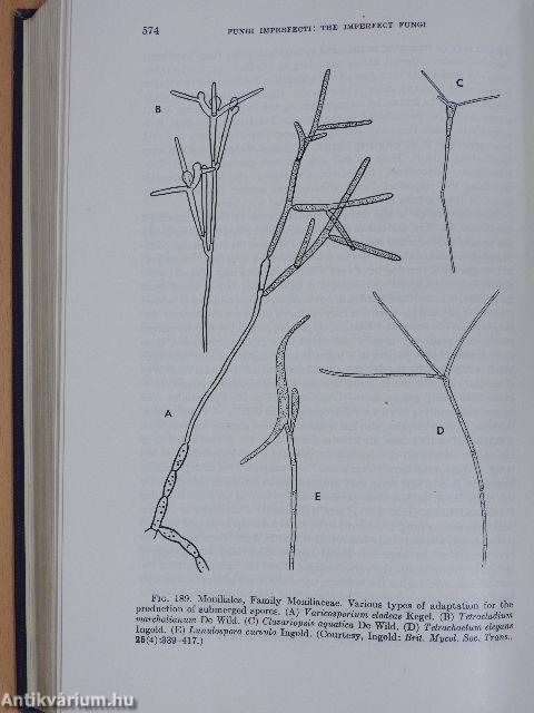 Morphology and Taxonomy of Fungi