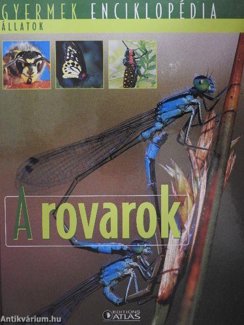 A rovarok