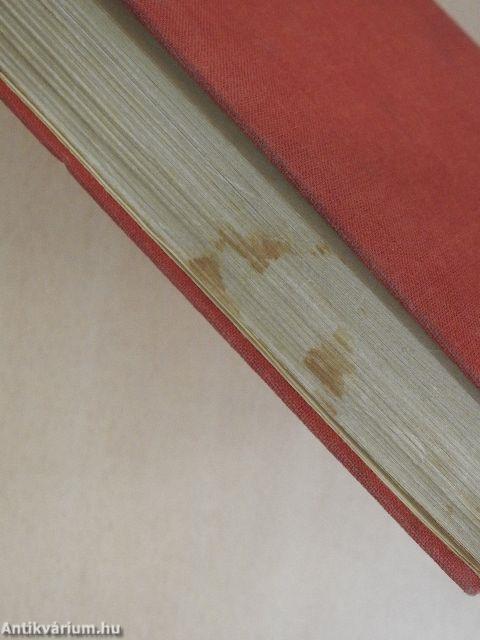 A Celluloid-istennő