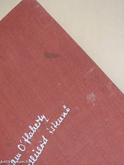 A Celluloid-istennő