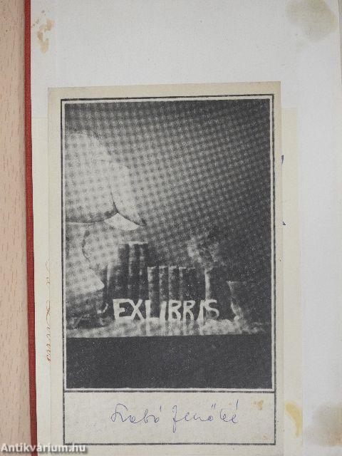 A Celluloid-istennő