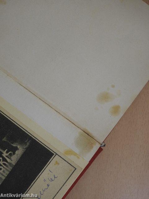 A Celluloid-istennő