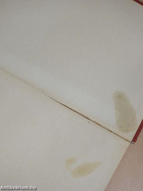 A Celluloid-istennő